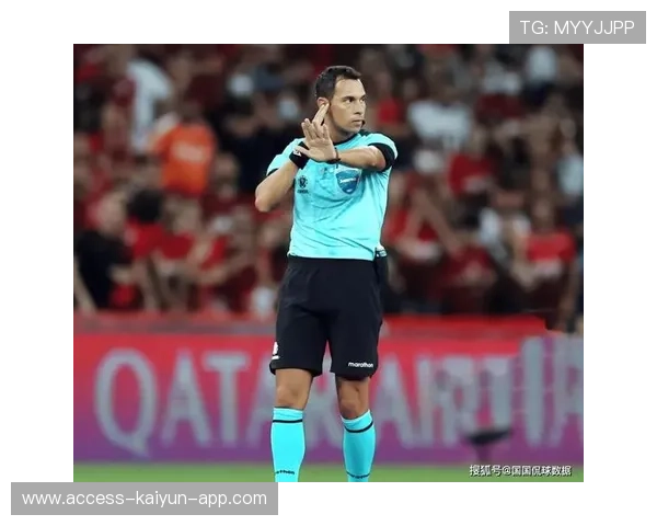 欧洲杯比赛中的裁判表现被媒体评估并公开讨论,欧洲杯每场比赛裁判